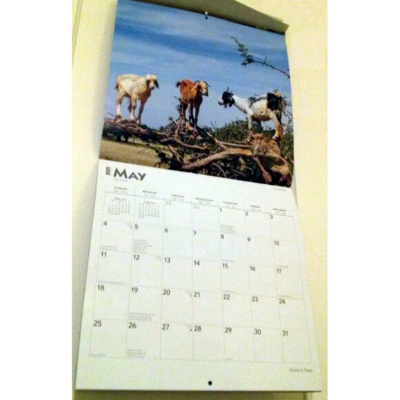 2025 Calendar, Goats in Trees, Monthly, 12" x 24" - Opened, Great Condition - Picture 6 of 15